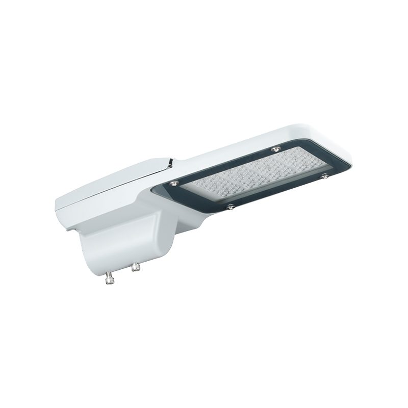 Outdoor IP66 Waterproof PACIFIC LITE Series LED Street Light Fixtures